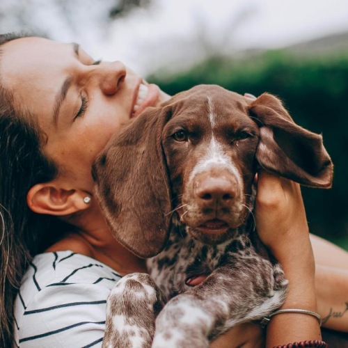 a person kissing a dog